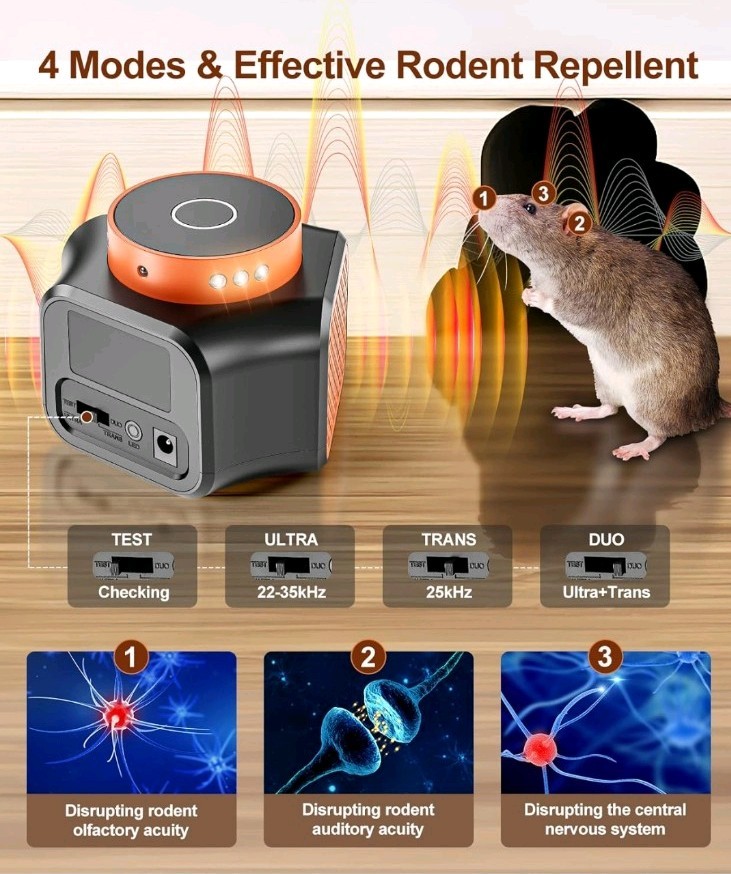 ultrasonic rodent repellent