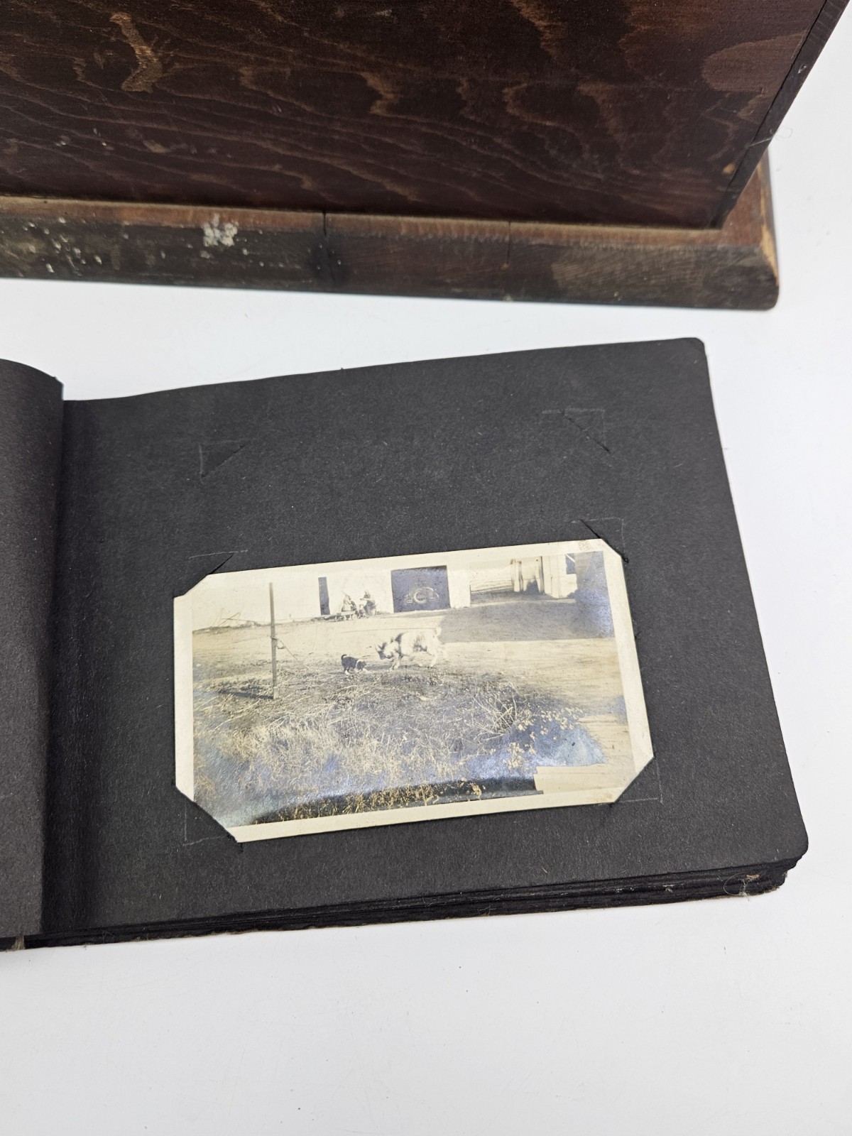 Antique Wooden Light Box For Developing Film Photo Developer Vintage Darkroom