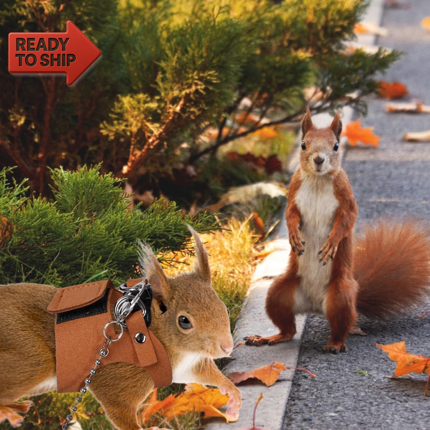 3 Pack Squirrel Harness and Leash Set - Adjustable Soft Leather & Traction Rope