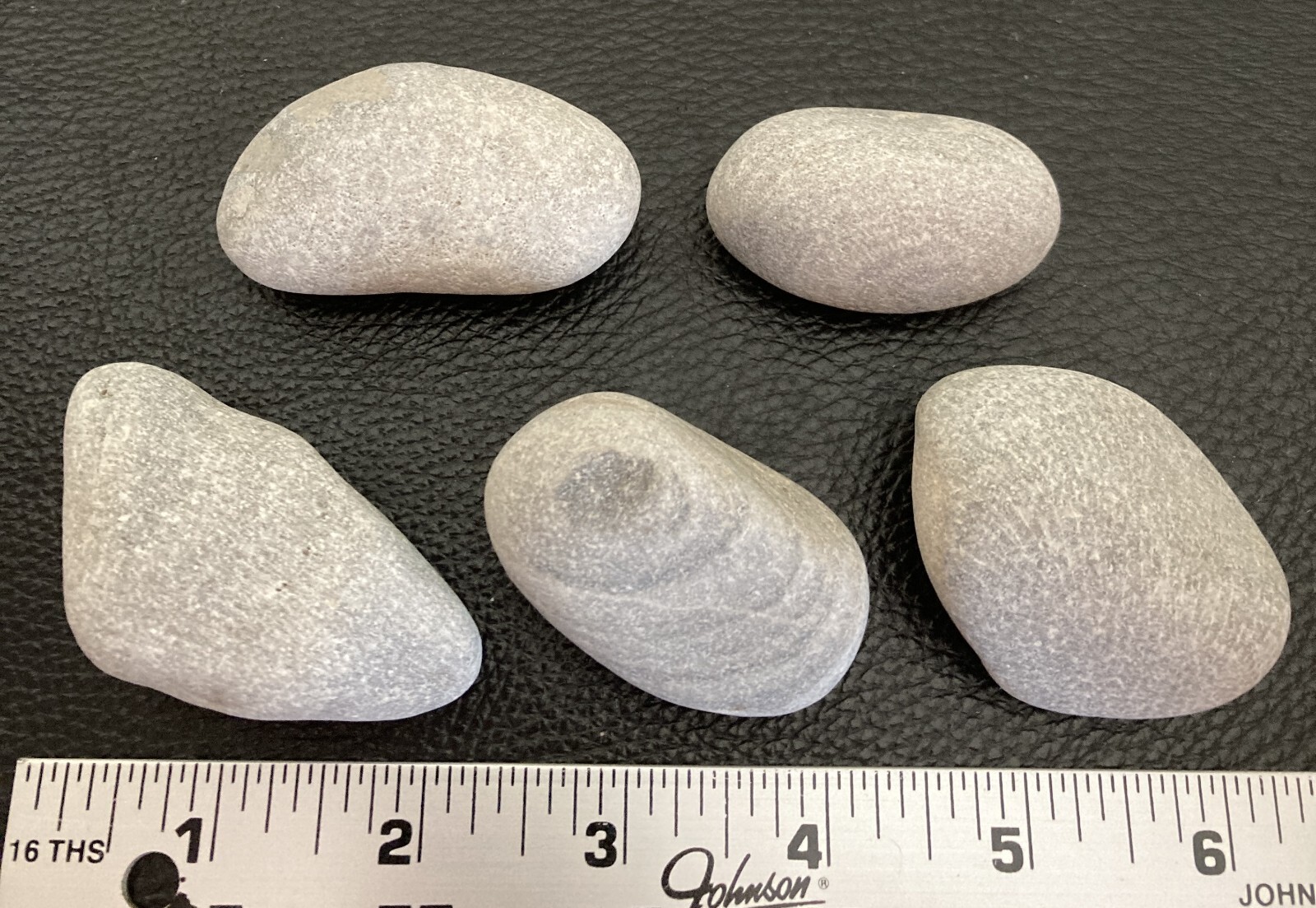 5pc Michigan AMAZING Fossils -Petoskey & Charlevoix Stones Rugosa Stromatoporoid