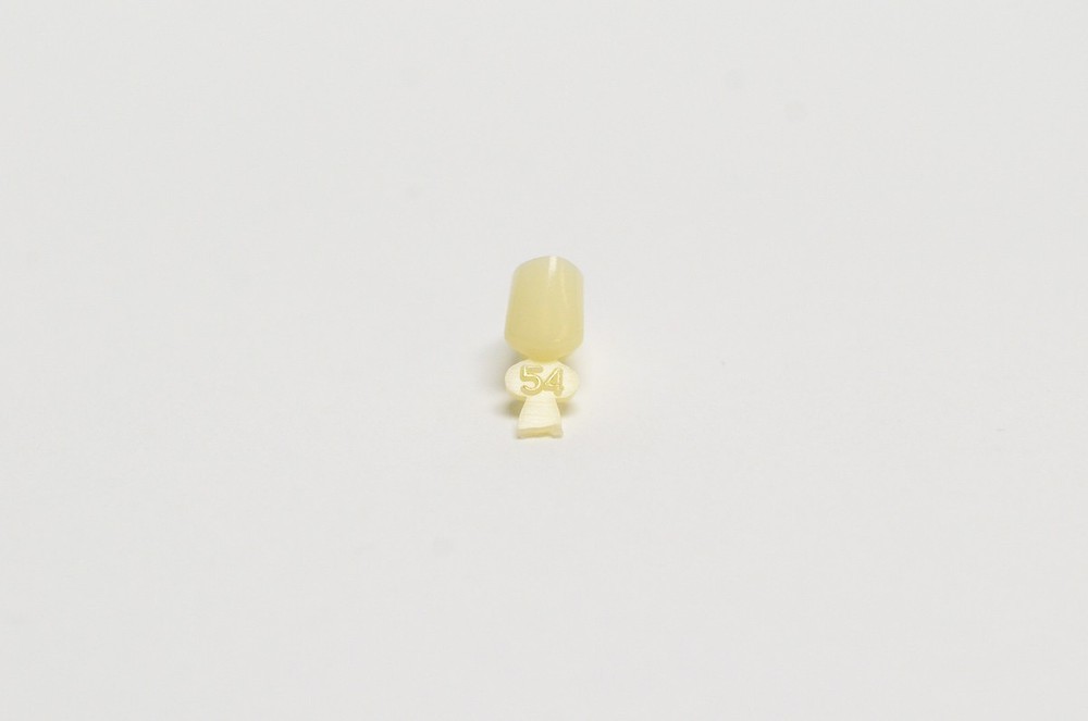 DENTAL POLYCARBONATE TEMPORARY CROWNS #54 SECOND (2ND) BICUSPIDS LARGE 5/PACK