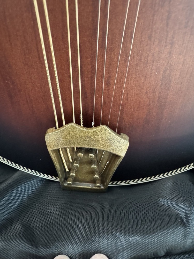 Vangoa Mandolin Instrument Bundle 8-String with Gig Bag New Complete
