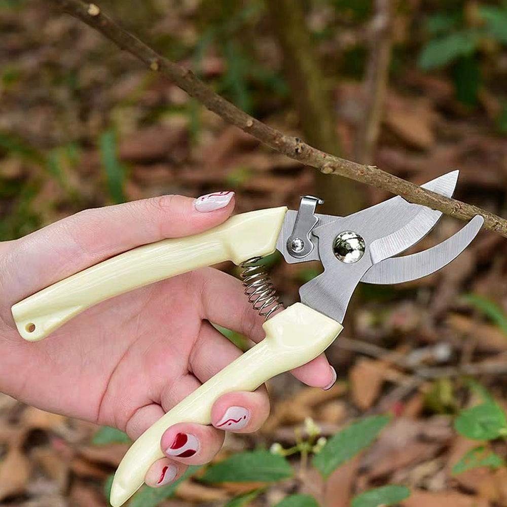 2-Pack Premium Gardening Pruning Shears Set - Includes Straight Blade Scissor...