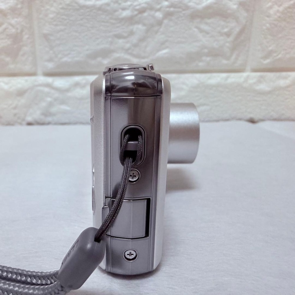 Panasonic LUMIX DMC-FS10 Silver Compact Digital Camera Tested Accessories