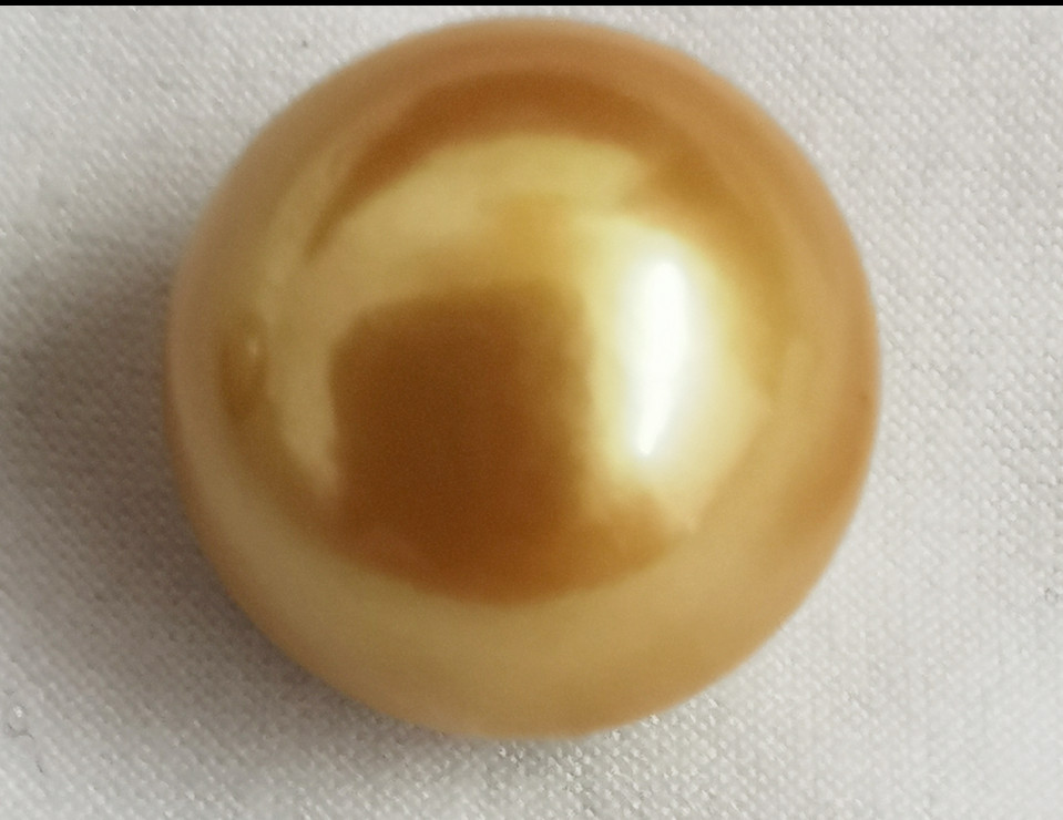 Huge 17mm Natural South Sea Genuine Gold Golden Round Loose Pearl Undrilled 1056