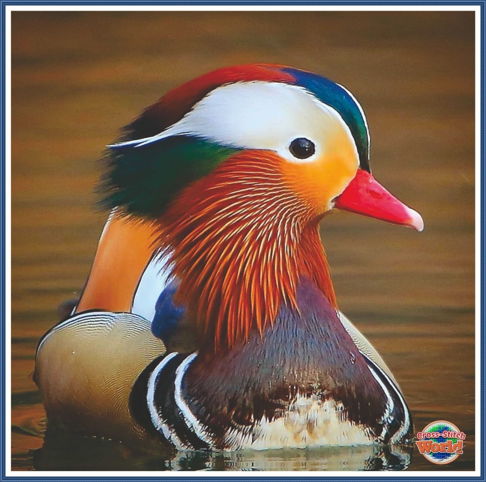 Mandarin Duck 752 Chart Counted Cross Stitch Pattern