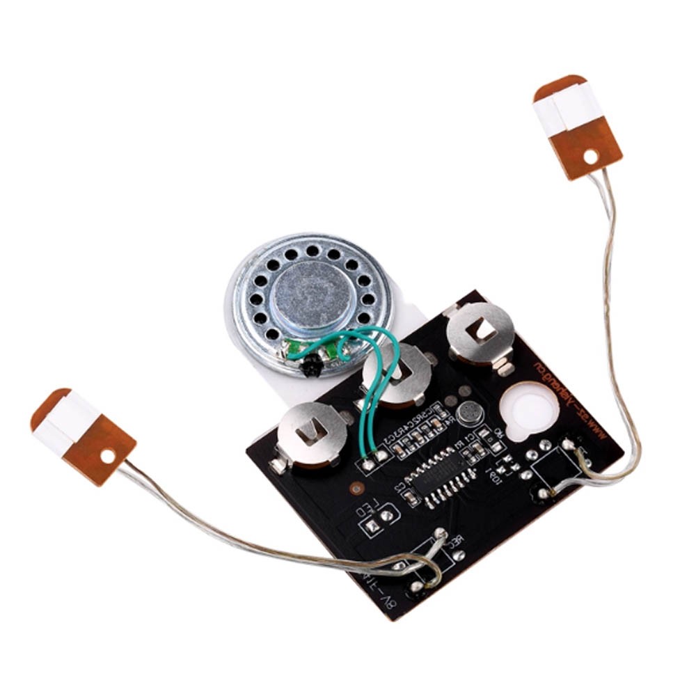 1PC 30s Recordable Voice Chip Sound Module DIY Wired Double Button Control USA