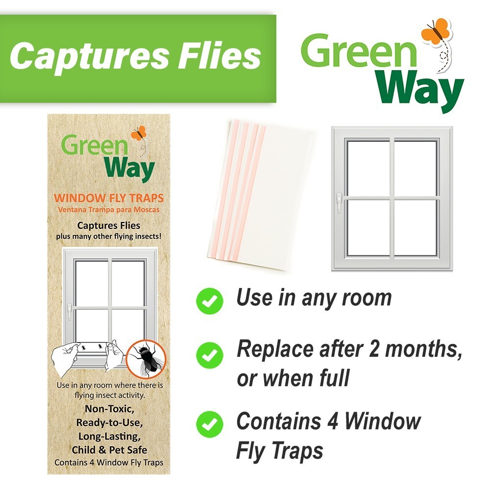 Window Fly Traps Non-Toxic, Easy Application 1 pack = 4 traps by Greenway