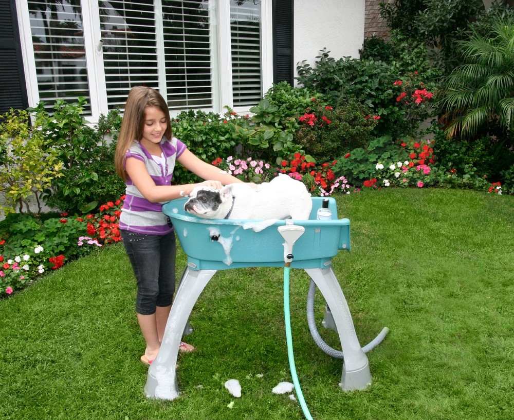 Booster Bath Elevated Pet Bathing Medium