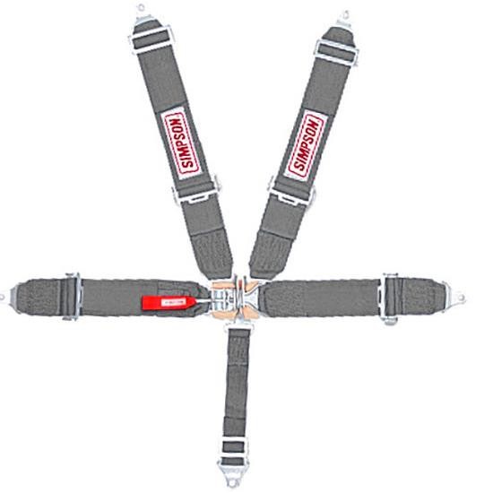 Simpson 29063P 5 Point Harness, Bolt-In, Pull Down