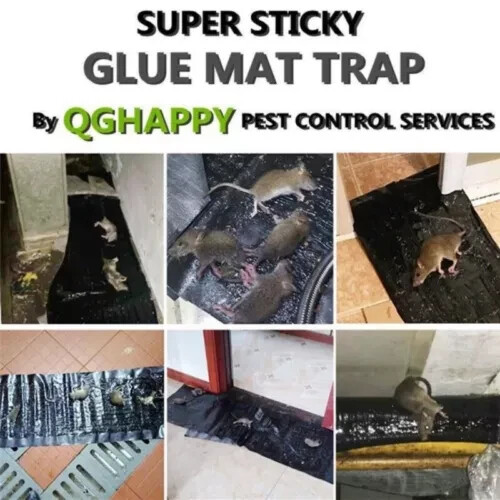 3 Pack Large Mice Mouse Glue Traps Rodent Catcher Rat Board Indoor Super Sticky