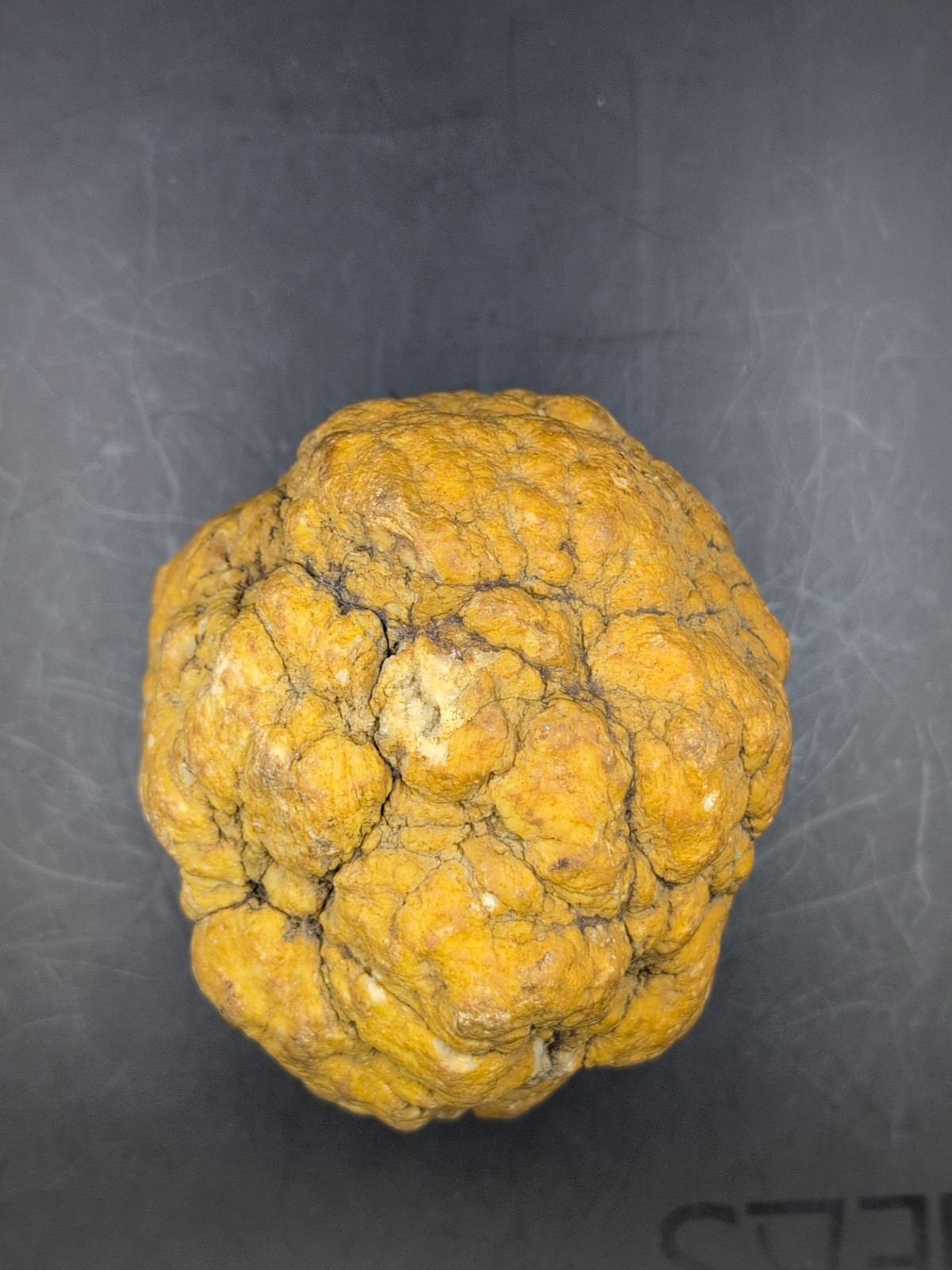 Large Quartz Nodule Concretion 5 lb Botryoidal Milky Quartz Mineral Specimen