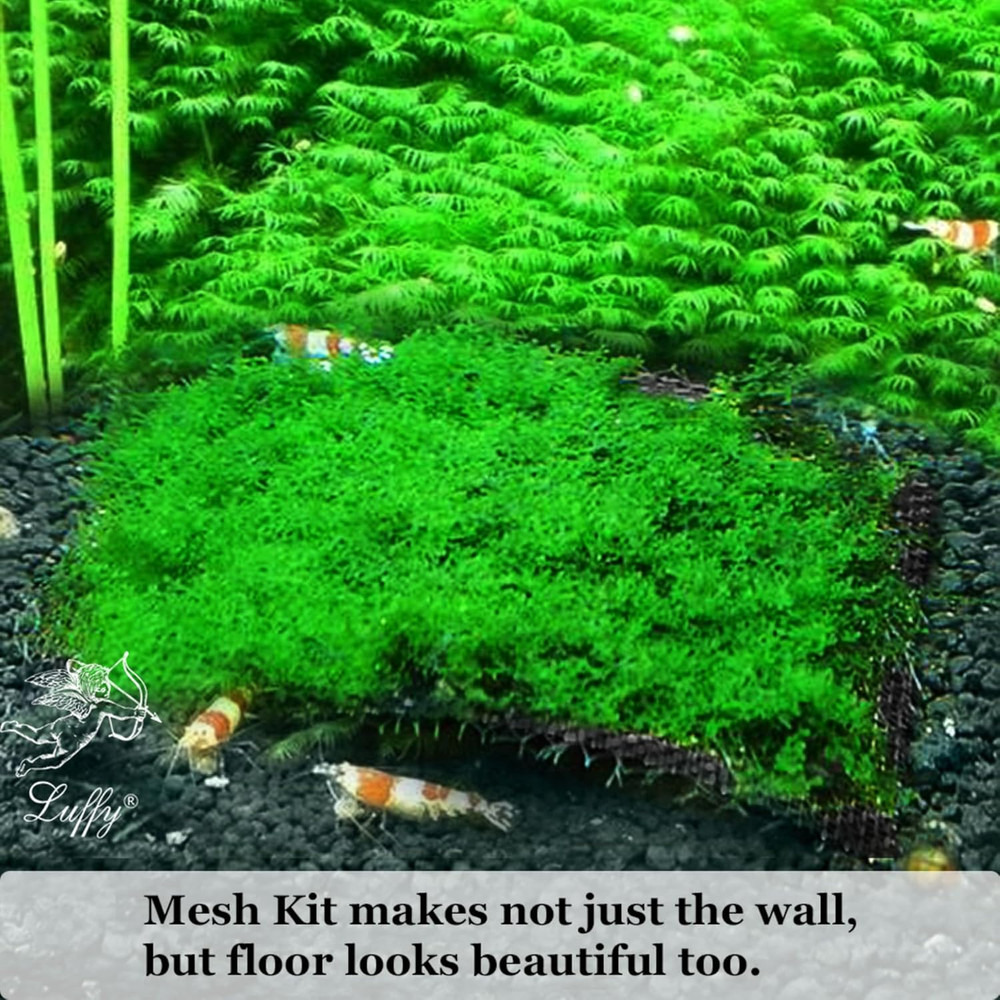 Luffy Decorative Wall or Floor Mesh Kit, 2 Pieces