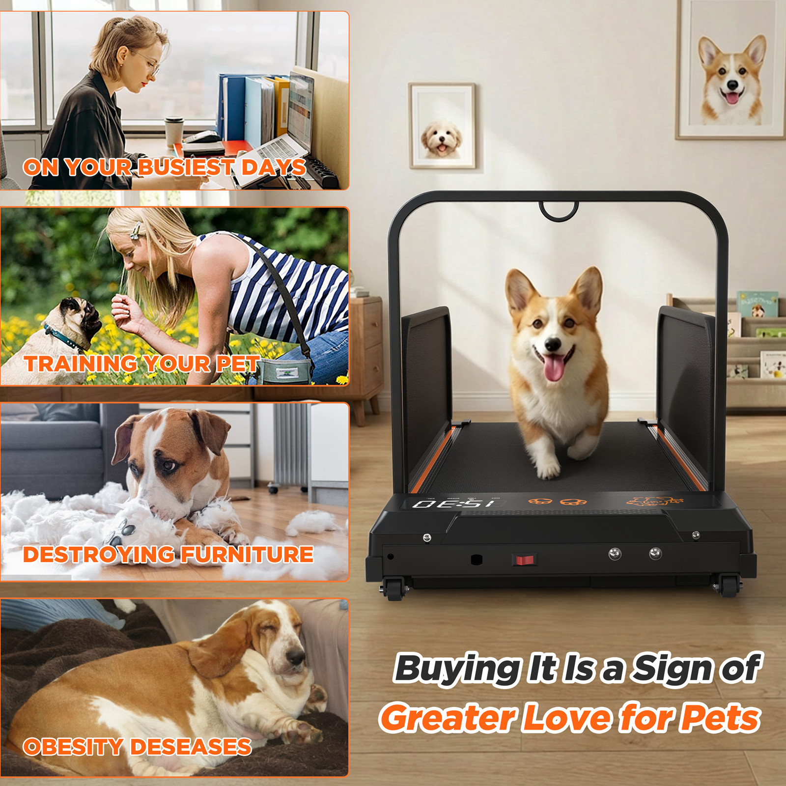 2026 Edition Small Dog Treadmill Pet Running Machine Pacer Treadmill with Remote