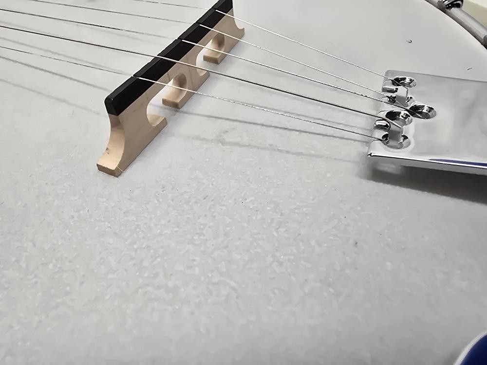 EPIPHONE BANJO MB200 (P31011602)