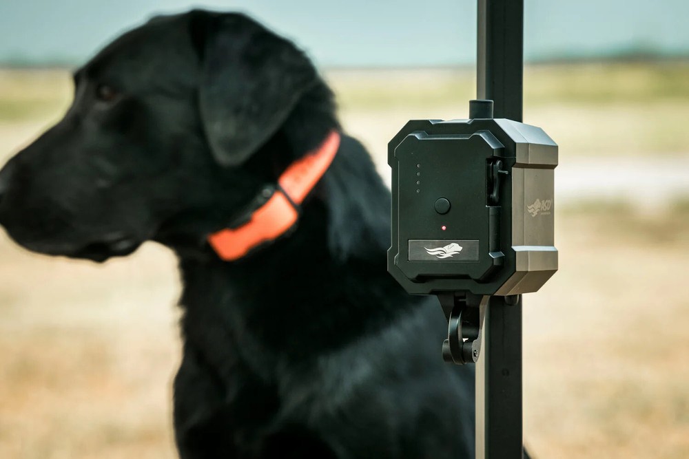 Avery Sporting Dog No-Break Safety System – High-Visibility & Durable Design