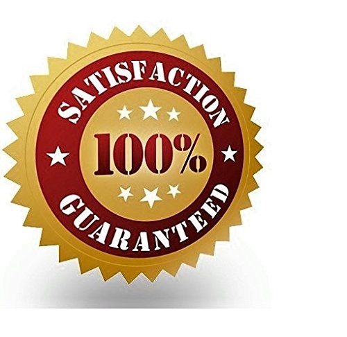 Bean Pies 9 Inch– Freshly Baked & Shipped Nationwide. Buy 2 or more-Free 6 inch