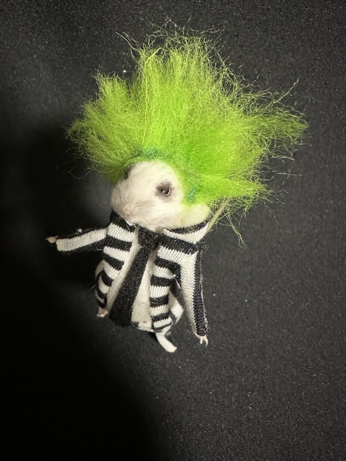 Taxidermy Mouse Beetlejuice Mouse Oddities Curiosities Taxidermy Art