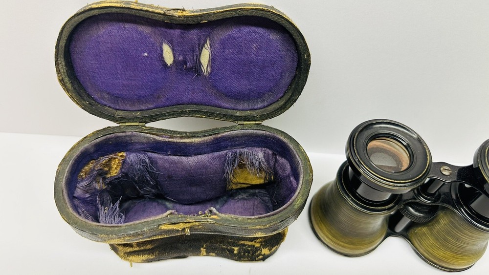 Antique Opera Glasses Binoculars In Original Leather Case