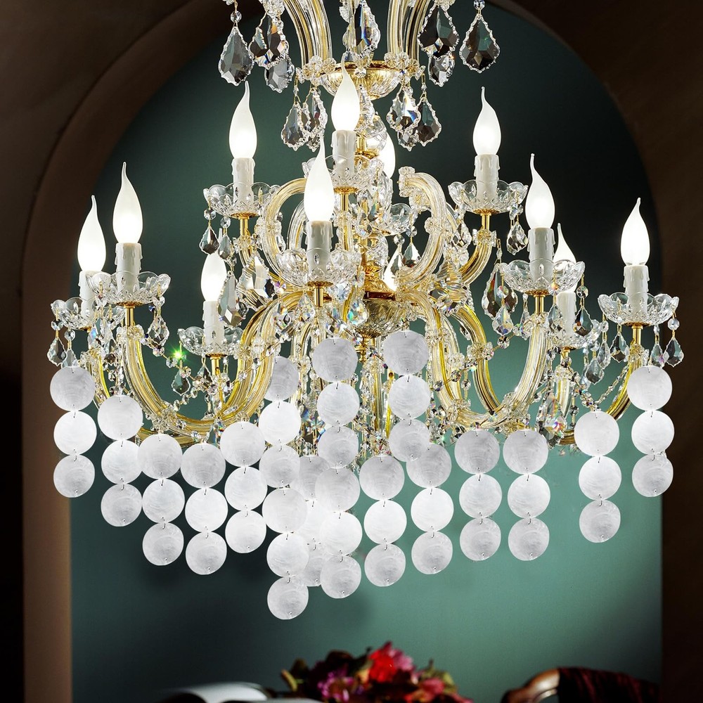 Elesunory Round Capiz Shells, 200 Pcs Shells and 100 50mm/2in, White