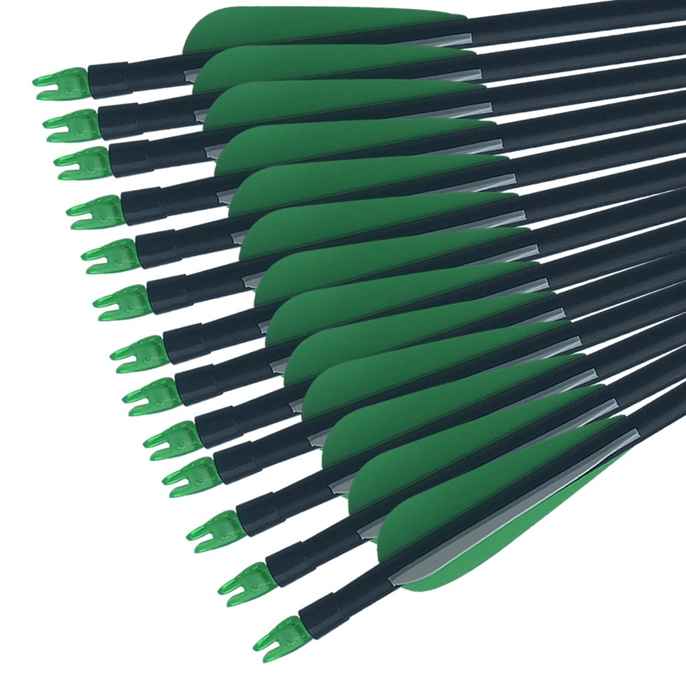 12pcs 30'' Fiberglass Practice Target Archery Arrows with Replaceable Arrowheads