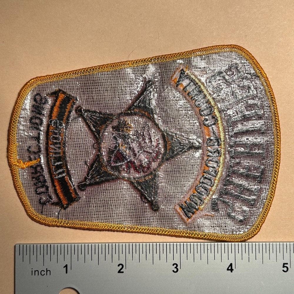 Woodford County ILLINOIS Sheriff Corrections patch