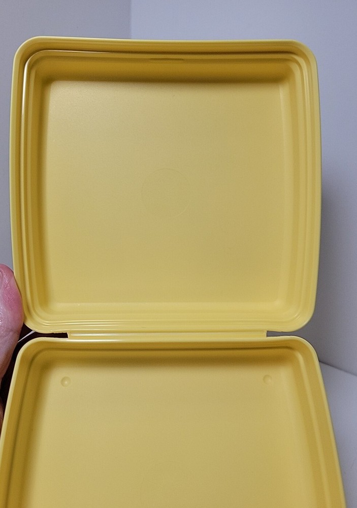 2007 Spongebob Squarepants Tupperware Sandwich Snack Container Box EUC