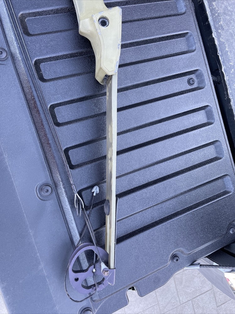 Bear MAGNUM HUNTER COIN SERIES Compound Bow STRING LENGTH 37”