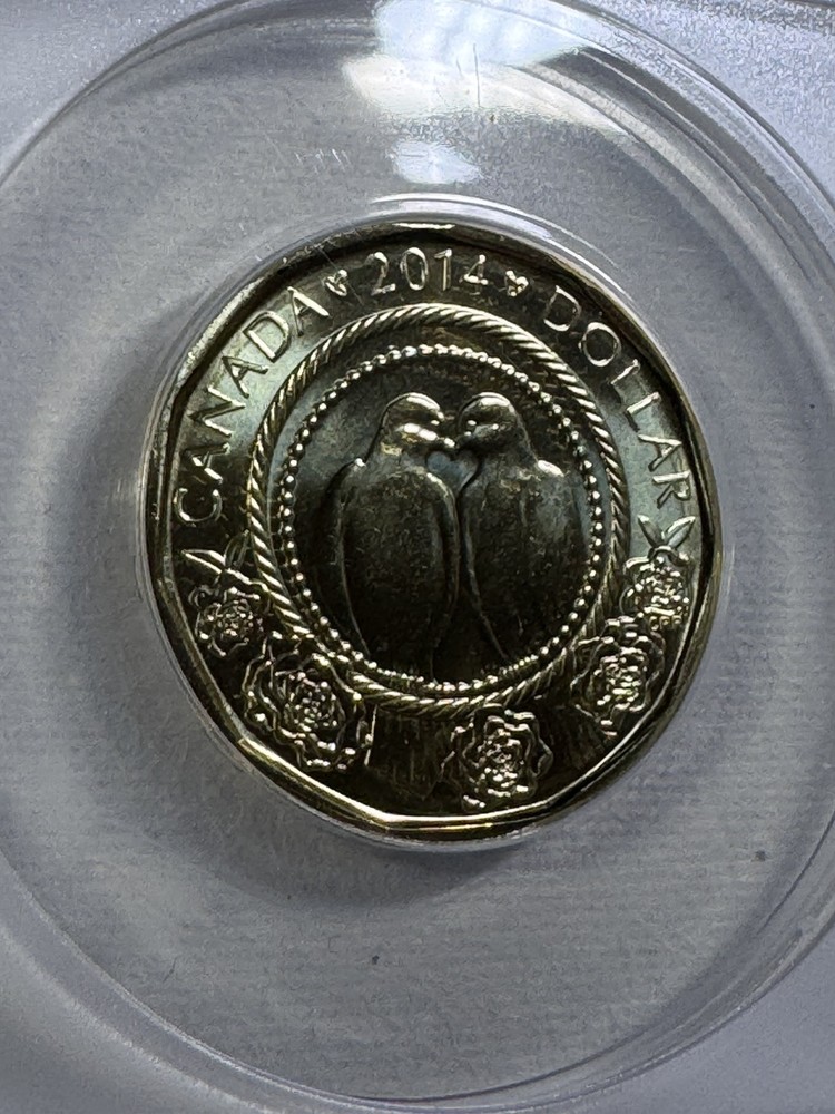 2014 Canada 1 Dollar Wedding Graded MS 69 by ANACS