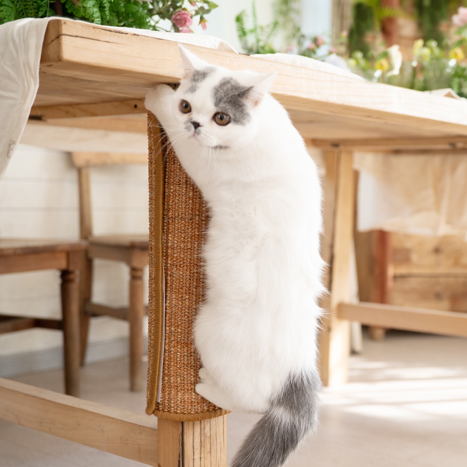 Cat Scratcher Mat, 23.6 X 15.7 Inch Sisal Cat Scratch Pad, Furniture Protection