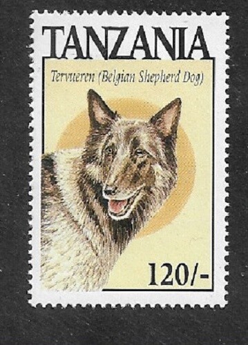 TANZANIA Dogs BELGIAN SHEPHERD
