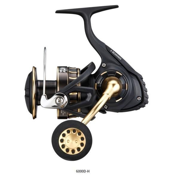 Daiwa BG SW 6000D H