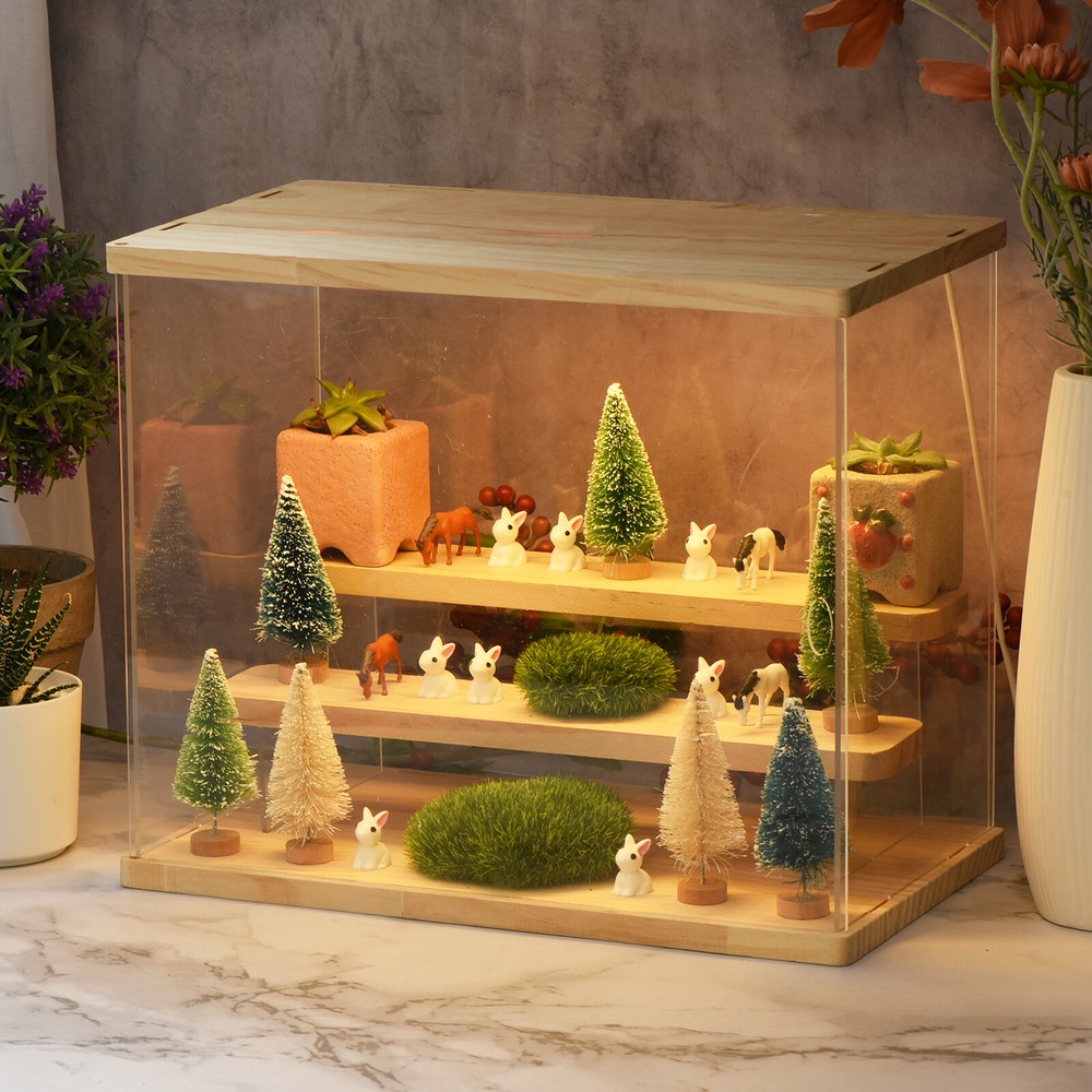 Acrylic Display Case with LED Light 5 Tier Transparent Showcase Display Boxes
