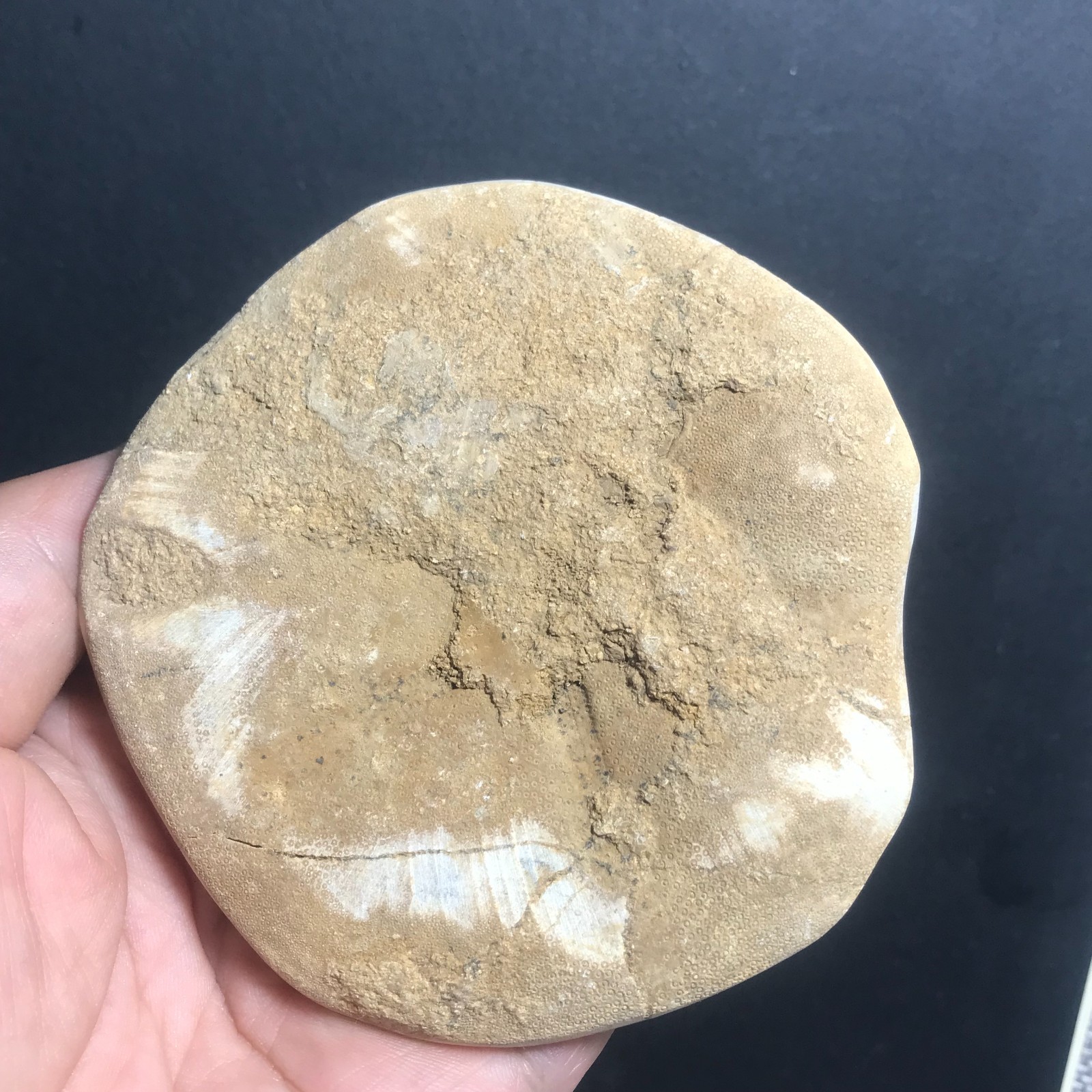 213g Starfish Crystal Specimen 09