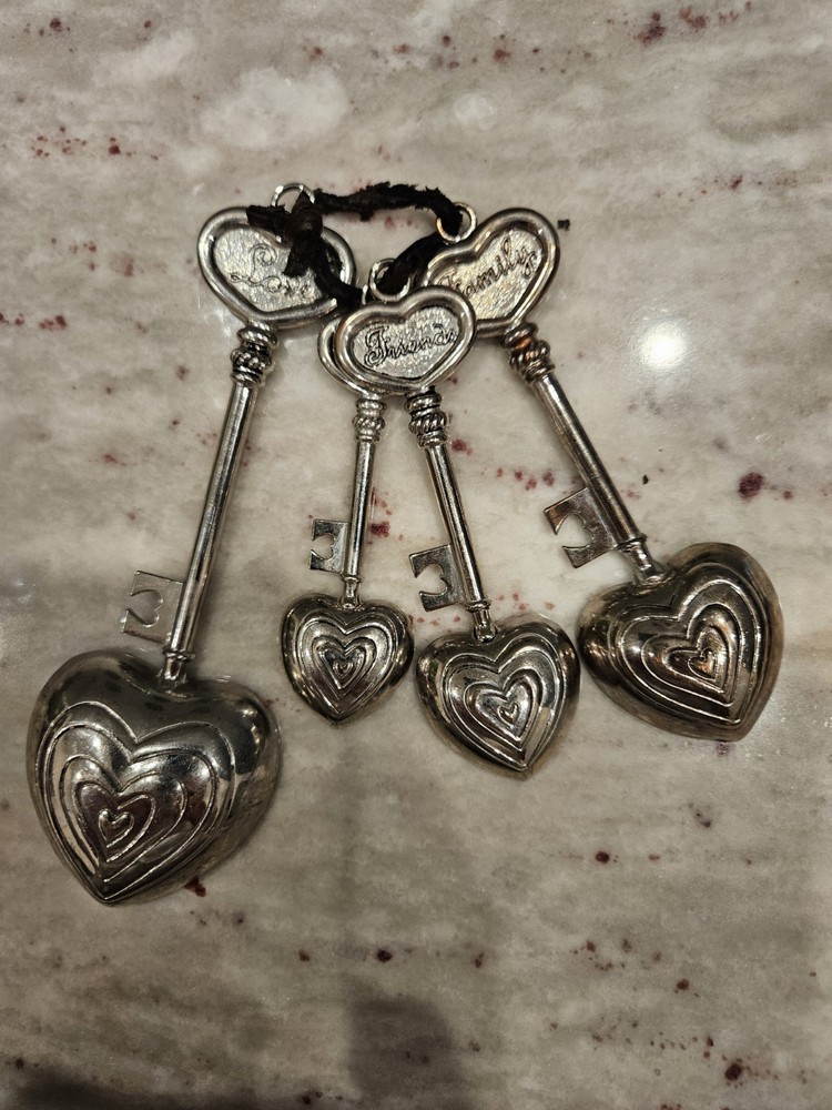 4 GANZ Collectible Measuring Spoons
