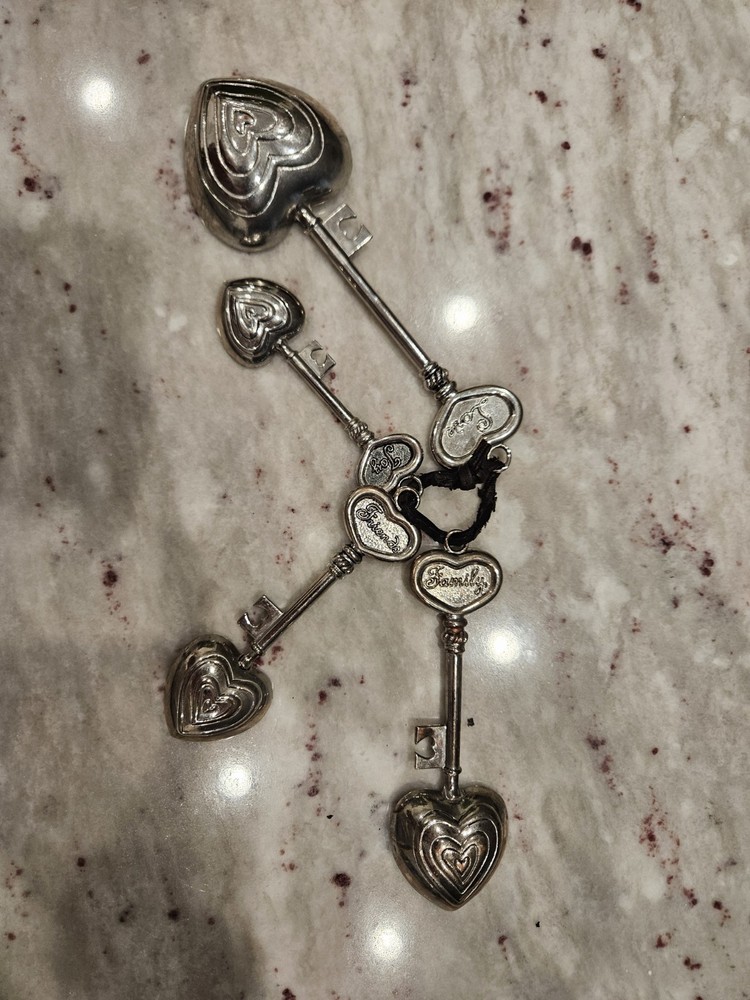 4 GANZ Collectible Measuring Spoons