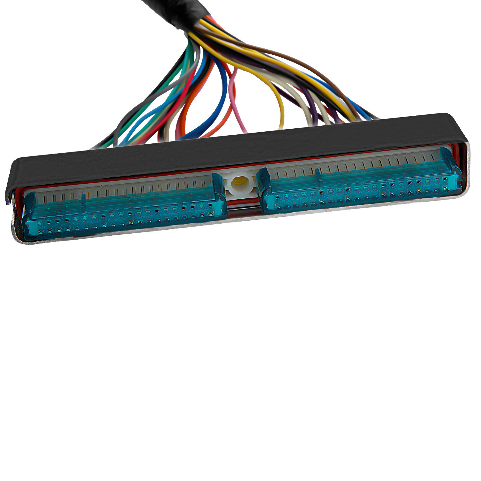 Standalone Harness For T56 Manual Tran 4.8/5.3/6.0l Ls Swap Ls1 Engine 97-06 Dbc