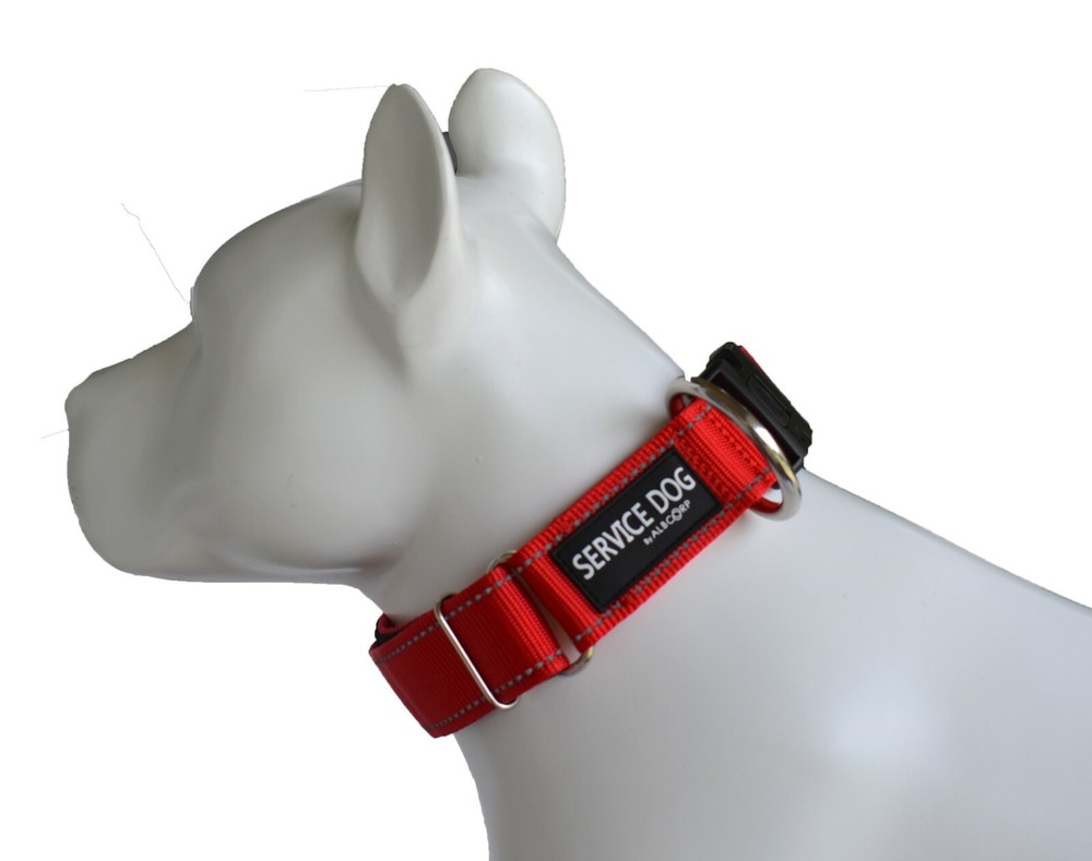 ALBCORP Reflective Service Dog Collar- Rubber Patch-Durable Nylon