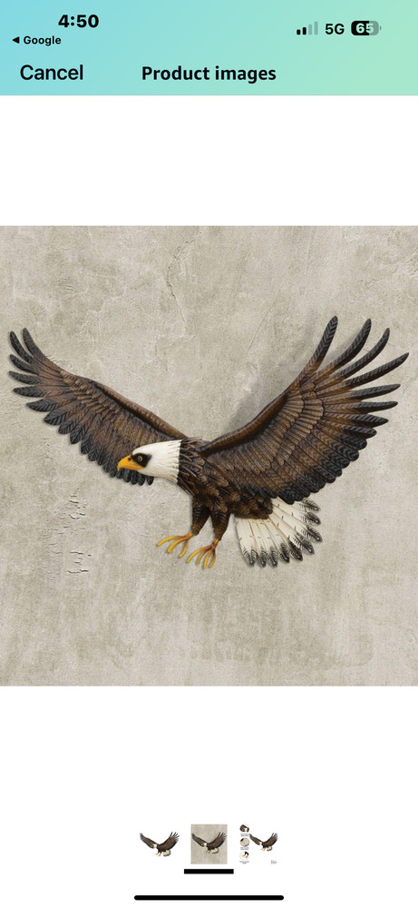 Mighty American Eagle Wall decor