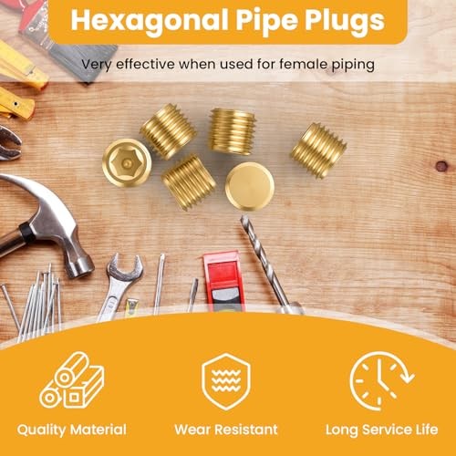 15 PCS Brass Pipe Plug Fitting Kit, Internal Hex Thread Socket Pipe 1/8” NPT