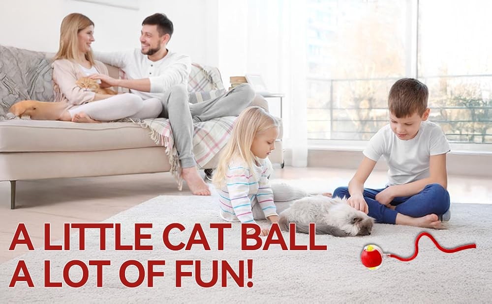 Interactive Electric Automatic Rolling Moving Recharable Self Play
