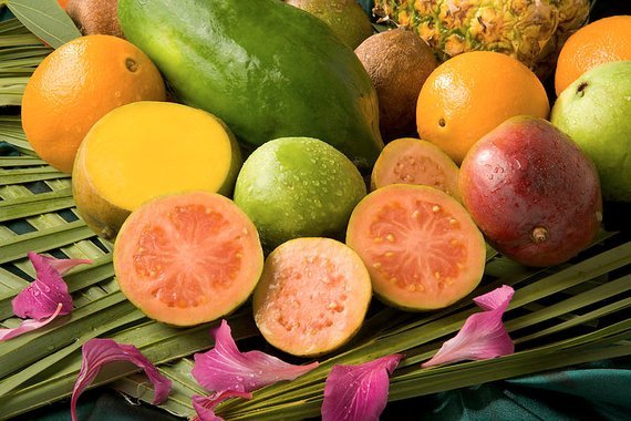 4 oz Candle Scent Oil-GUAVA MANGO