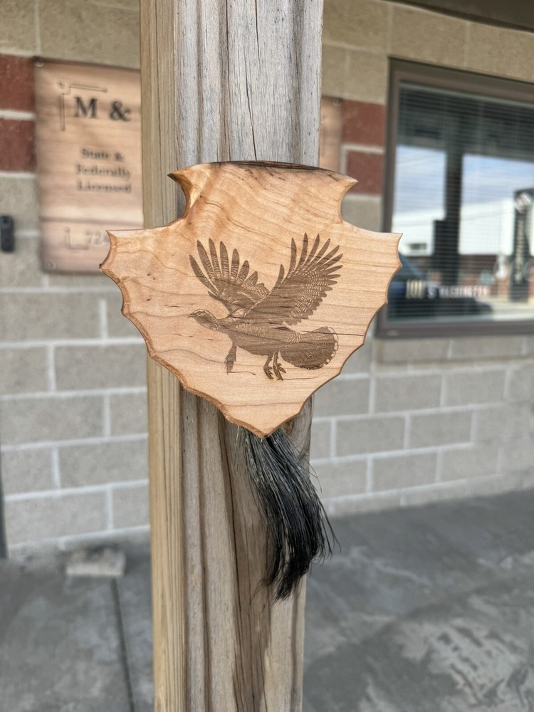Turkey Tail & Beard Hardwood Plaque
