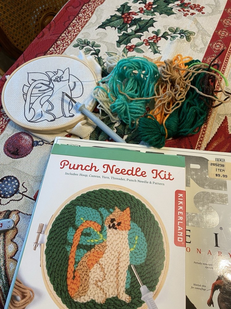 Punch Needle Kit New In Box Pre Owned