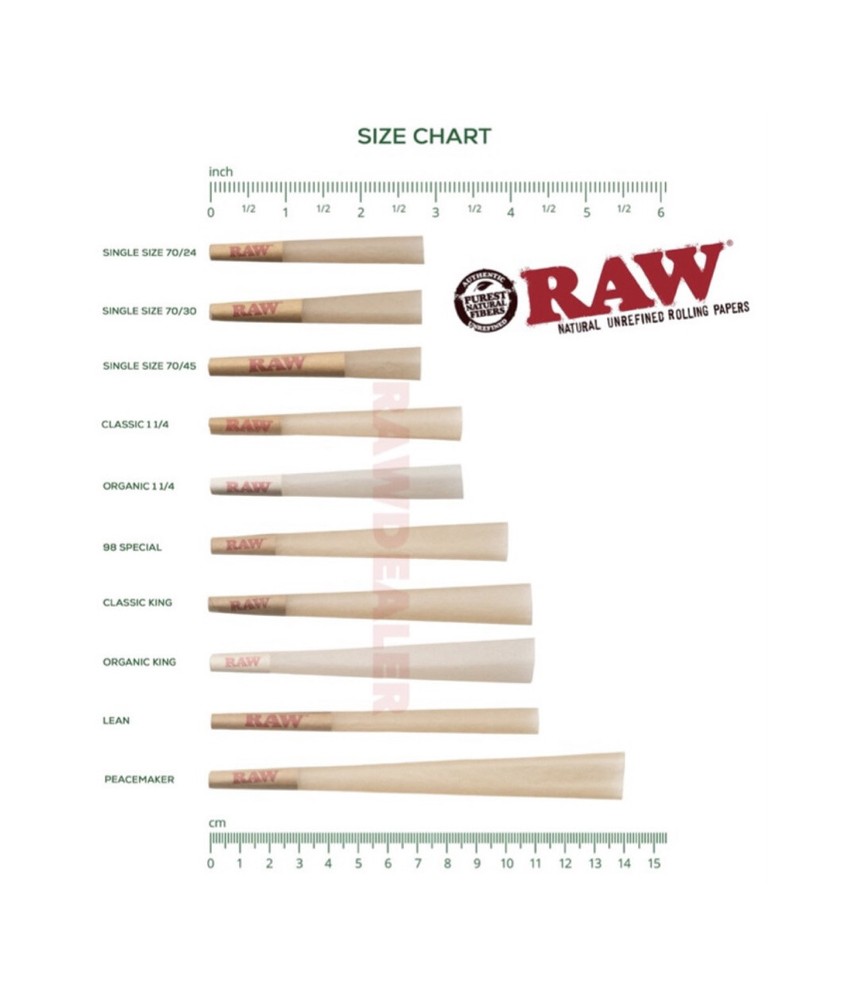 RAW black 1 1/4 size pre rolled cone + Raw Three Tree Cone Case