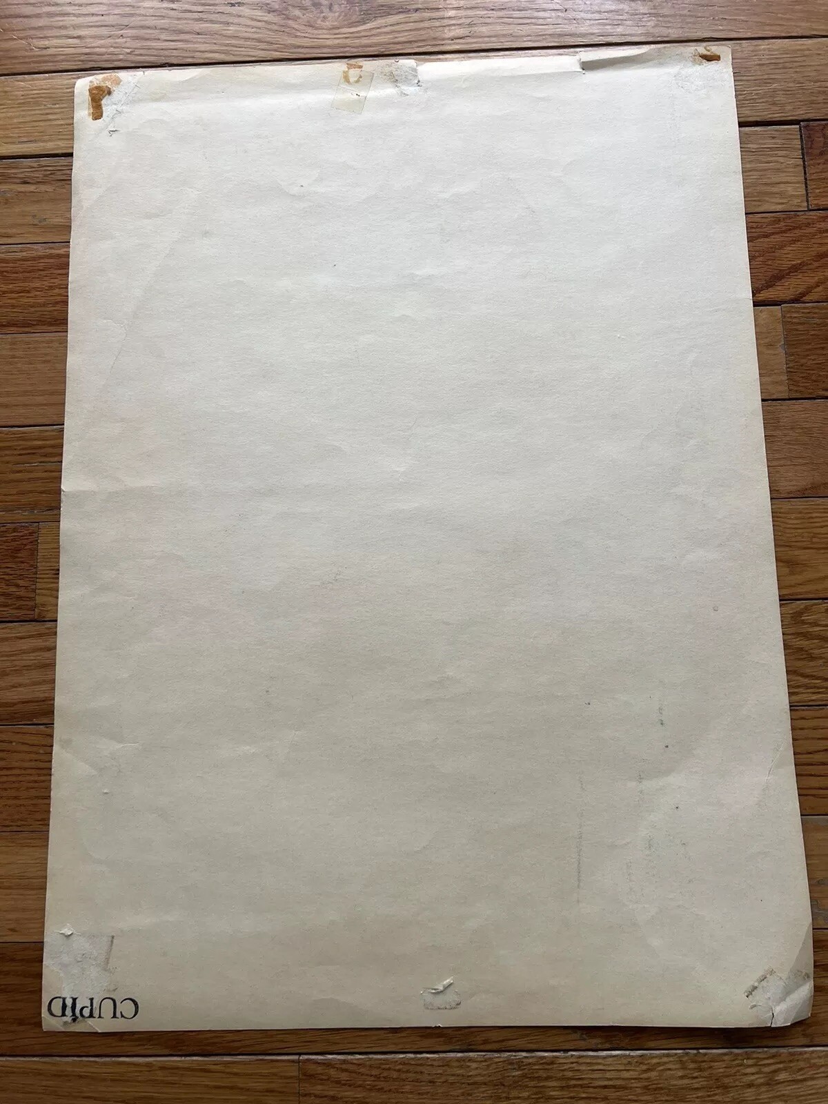 JANIS JOPLIN BIG BROTHER AND THE HOLDING COMPANY AT THE ARK VINTAGE POSTER 1967