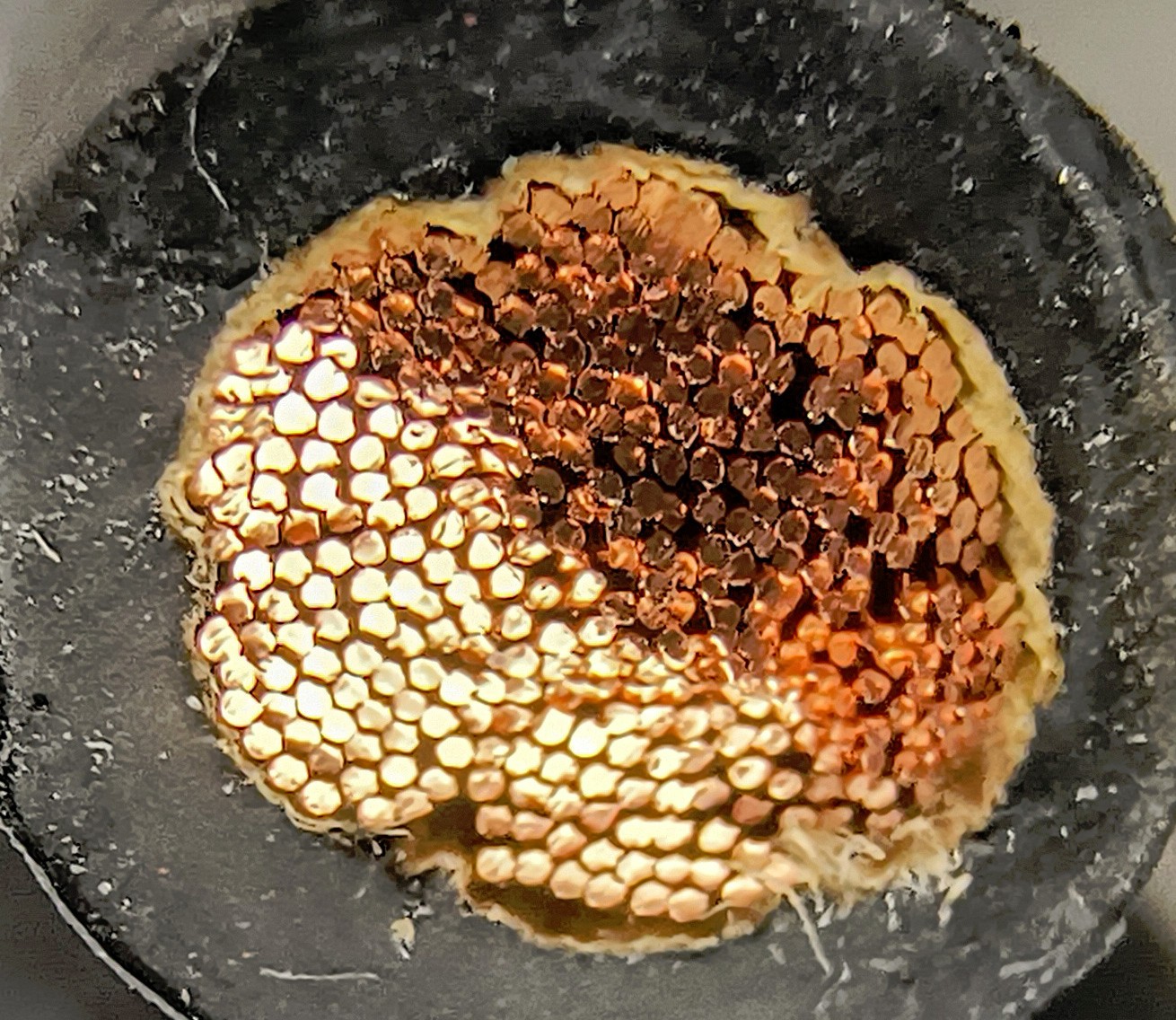 4 Gauge AWG Copper Battery Cable Marine Grade Tinned - Boat,Car,Truck,RV,Solar