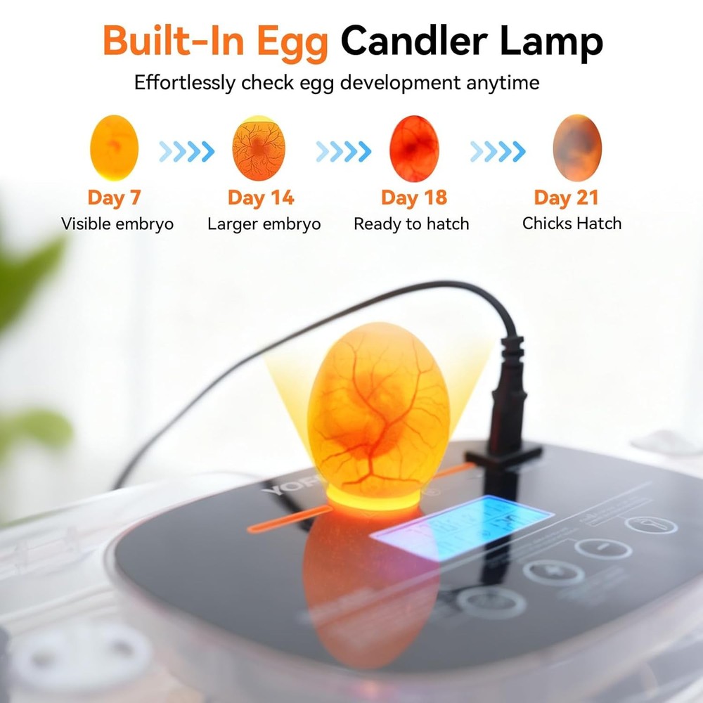 Incubators Hatching Eggs 24 Egg Incubator Automatic Egg Turner W/ Humidity