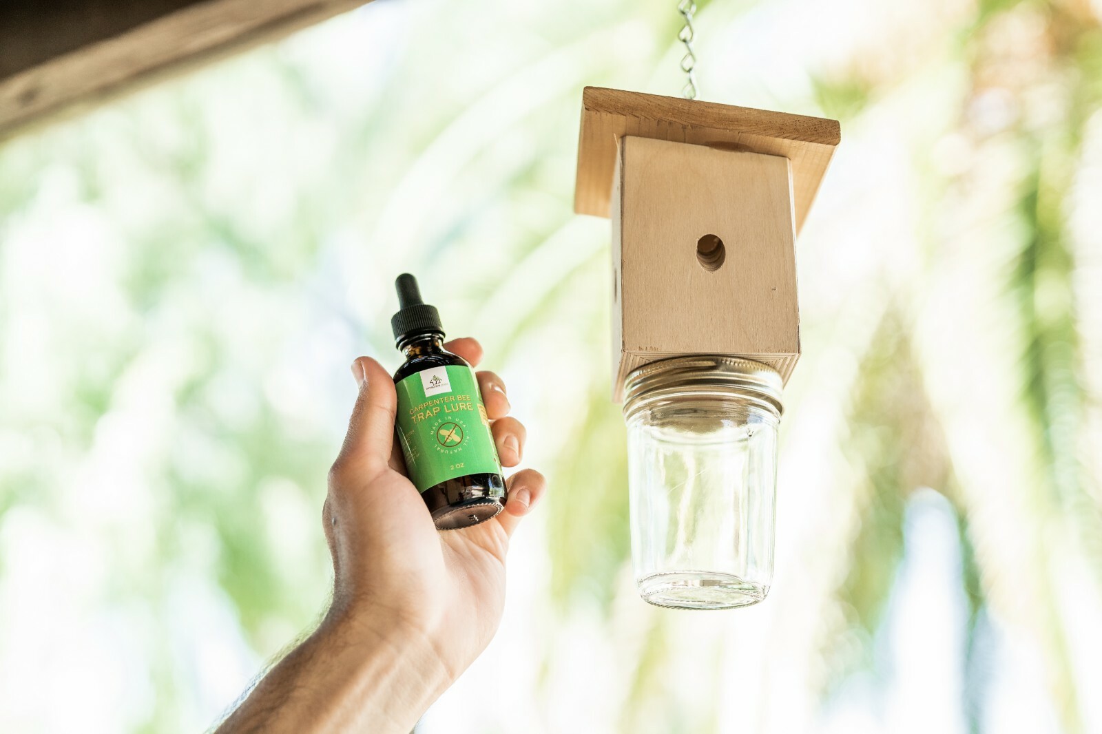 Donaldson Farms Carpenter Bee Trap Lure Attractant All Natural