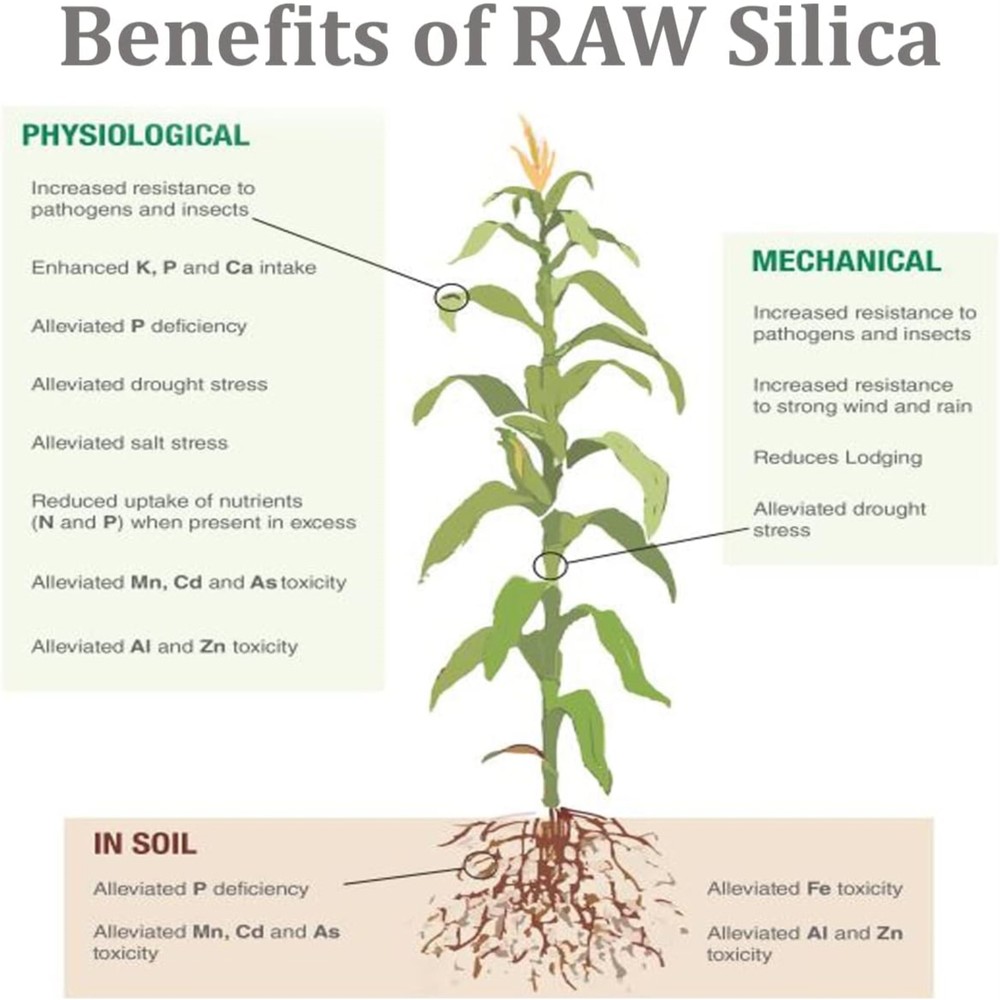 RAW Silica Structure Water-Soluble Fertilizer, 2oz